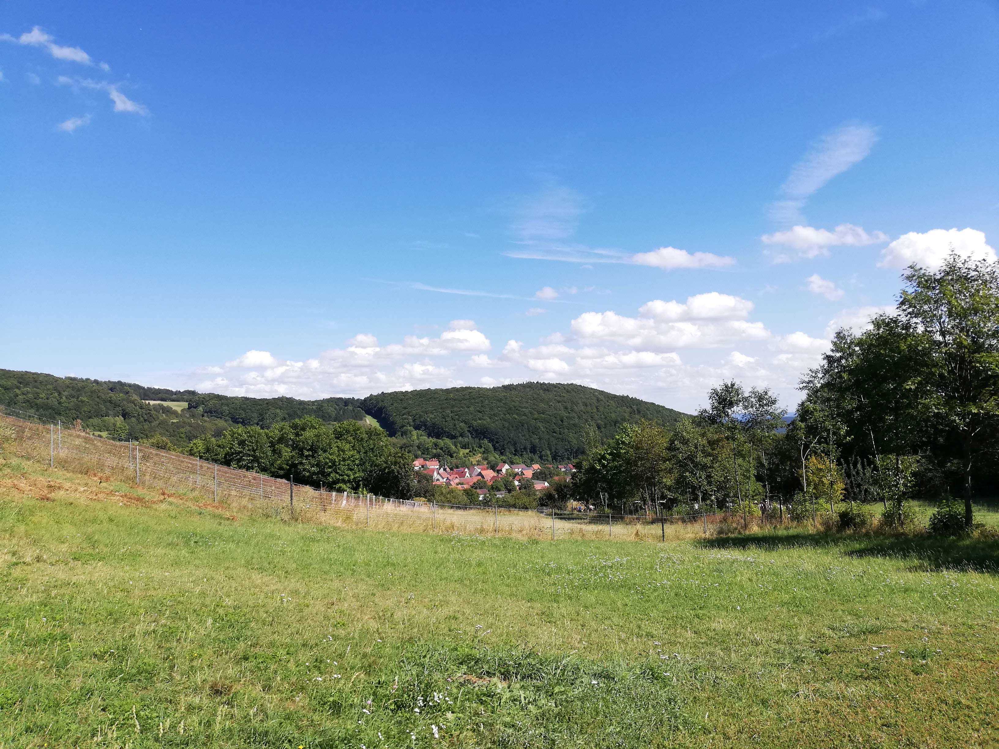 IMG 20240816 144819